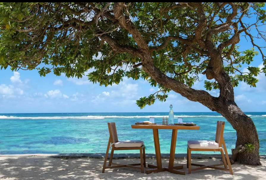 Table and chairs beneath a tree overlooking a calm turquoise sea