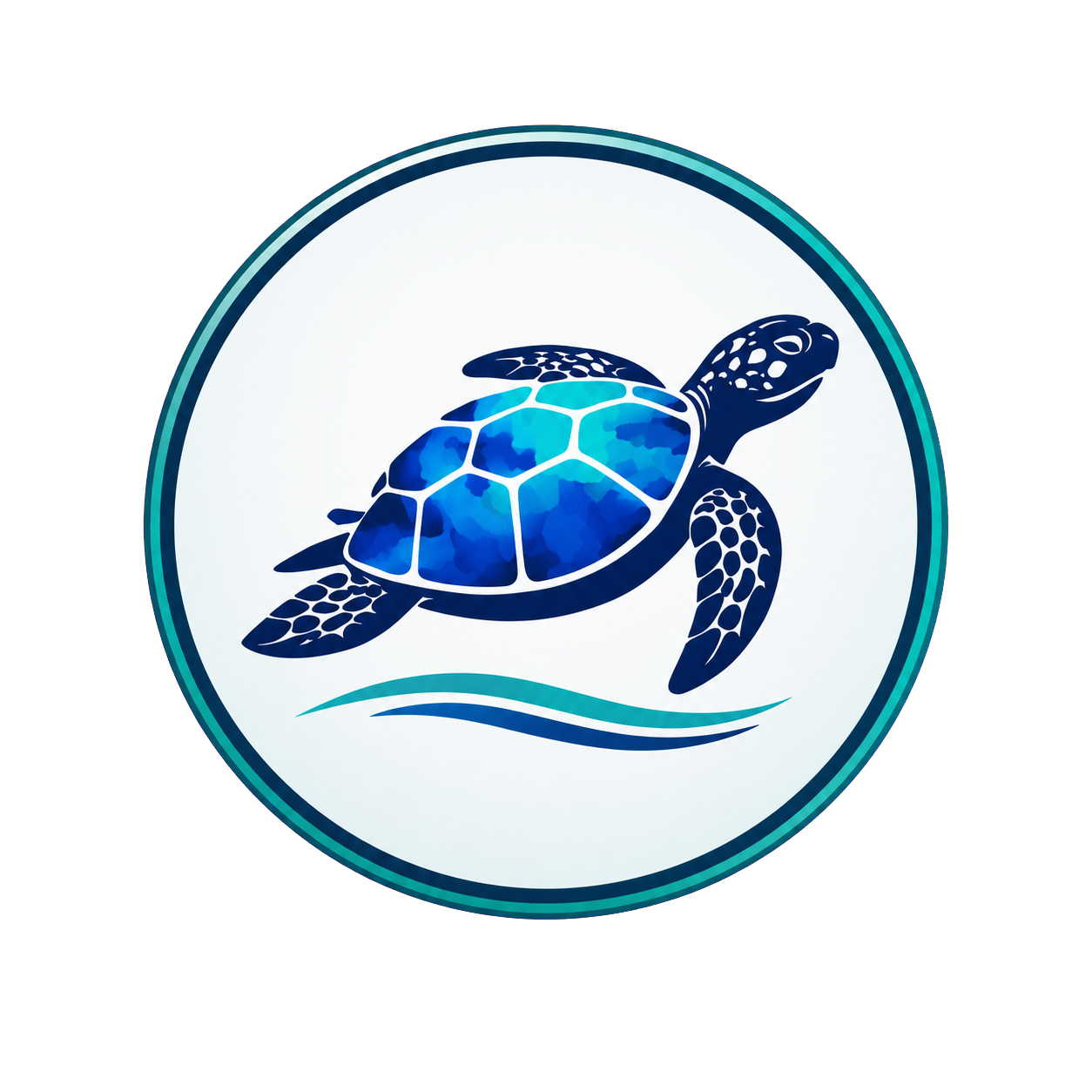 Blue Turtle Media