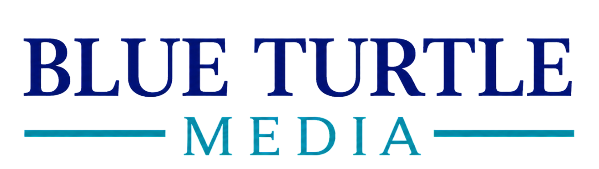 Blue Turtle Media